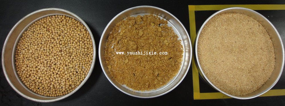 從左到右分別是：大豆、經過膨化處理還未浸出的大豆料胚、豆粕