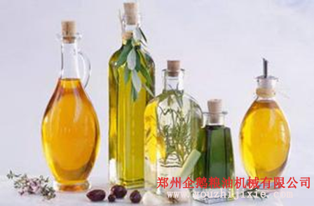 油脂設(shè)備之苦蕎籽油提取設(shè)備 苦蕎籽油營(yíng)養(yǎng)價(jià)值高(圖2)