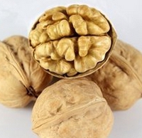 核桃深加工項目-核桃油設備生產(chǎn)商鄭州企鵝糧油(圖1)