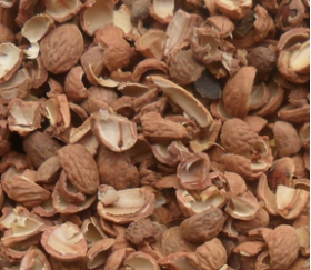 核桃深加工項目-核桃油設備生產(chǎn)商鄭州企鵝糧油(圖3)