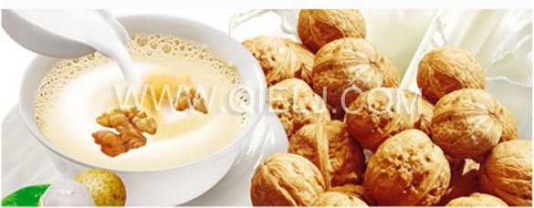 核桃深加工項目-核桃油設備生產(chǎn)商鄭州企鵝糧油(圖8) 核桃深加工項目-核桃油設備生產(chǎn)商鄭州企鵝糧油(圖8)