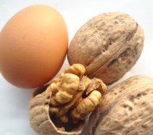 核桃深加工項目-核桃油設備生產(chǎn)商鄭州企鵝糧油(圖2)