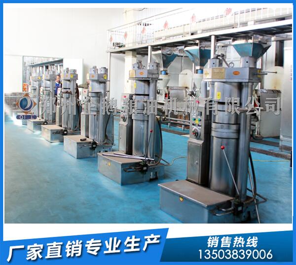 核桃油生產(chǎn)線投資多少?企鵝油脂設備投資有道(圖1) 核桃榨油生產(chǎn)線